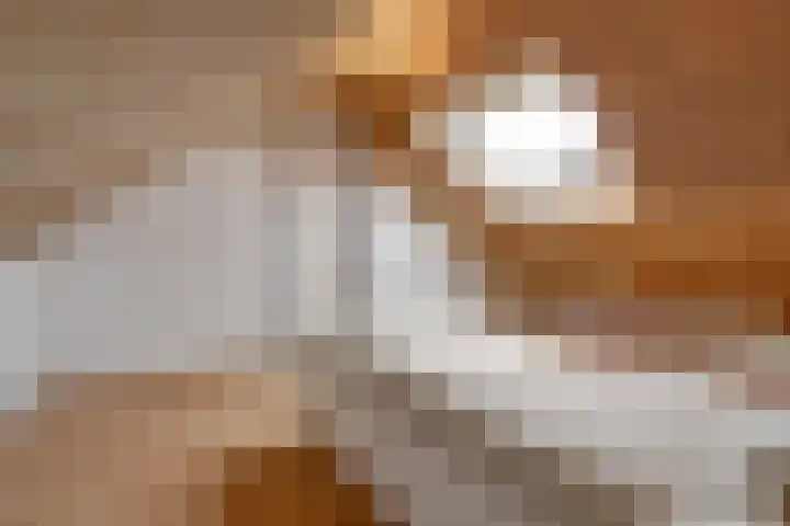 Hoogeind 47 Luyksgestel thumbnail 37