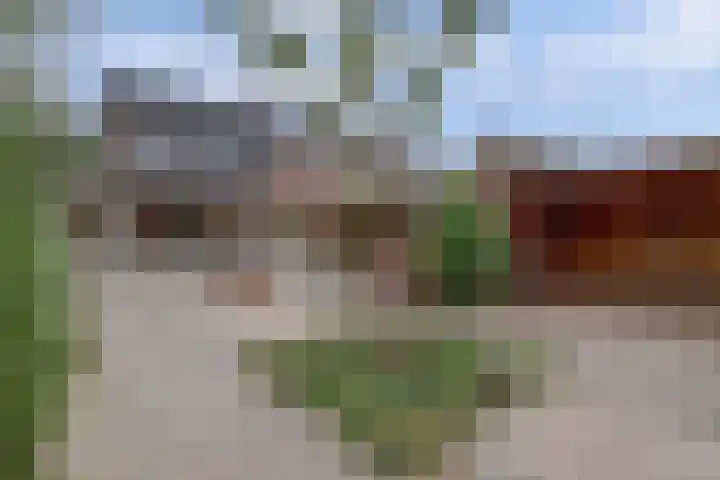 Hoogeind 47 Luyksgestel thumbnail 4