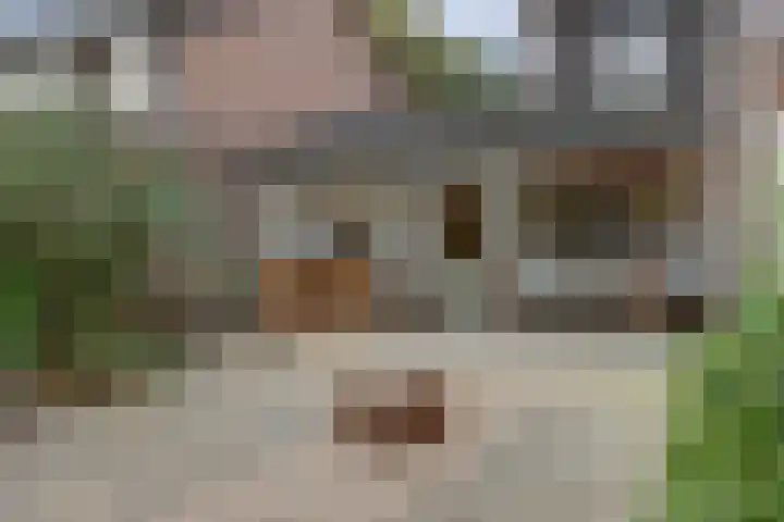 Hoogeind 47 Luyksgestel thumbnail 42