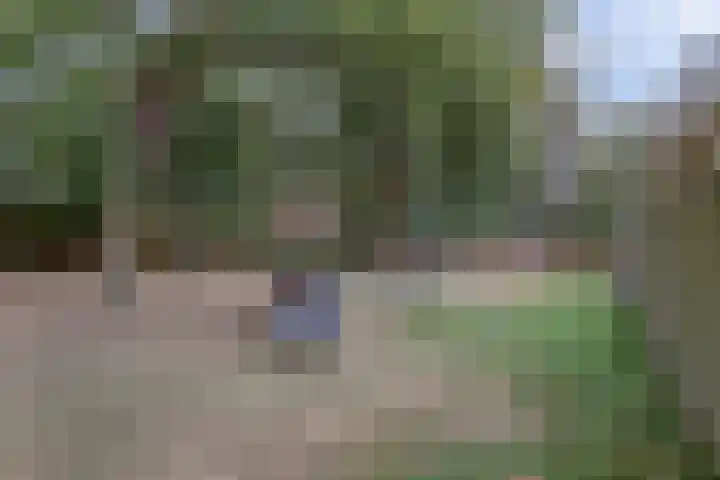 Hoogeind 47 Luyksgestel thumbnail 48