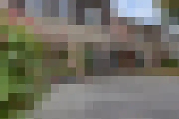 Hoogeind 47 Luyksgestel thumbnail 5