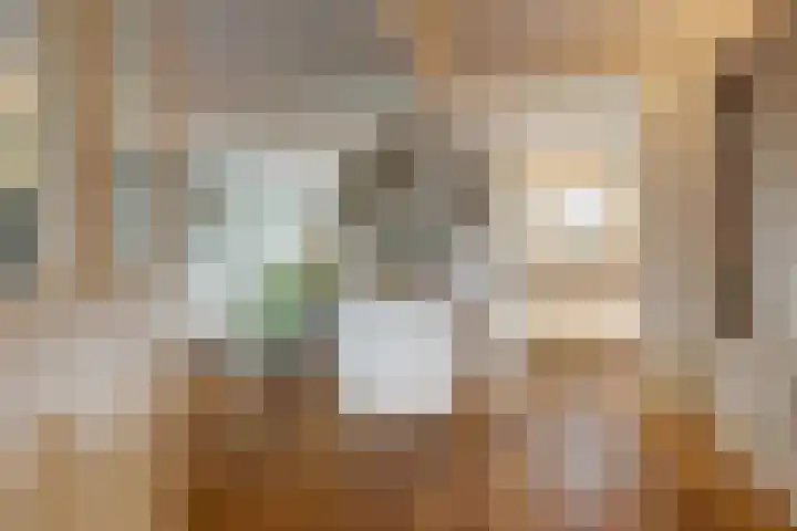 Hoogeind 47 Luyksgestel thumbnail 8