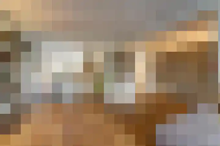 Hoogeind 47 Luyksgestel thumbnail 9