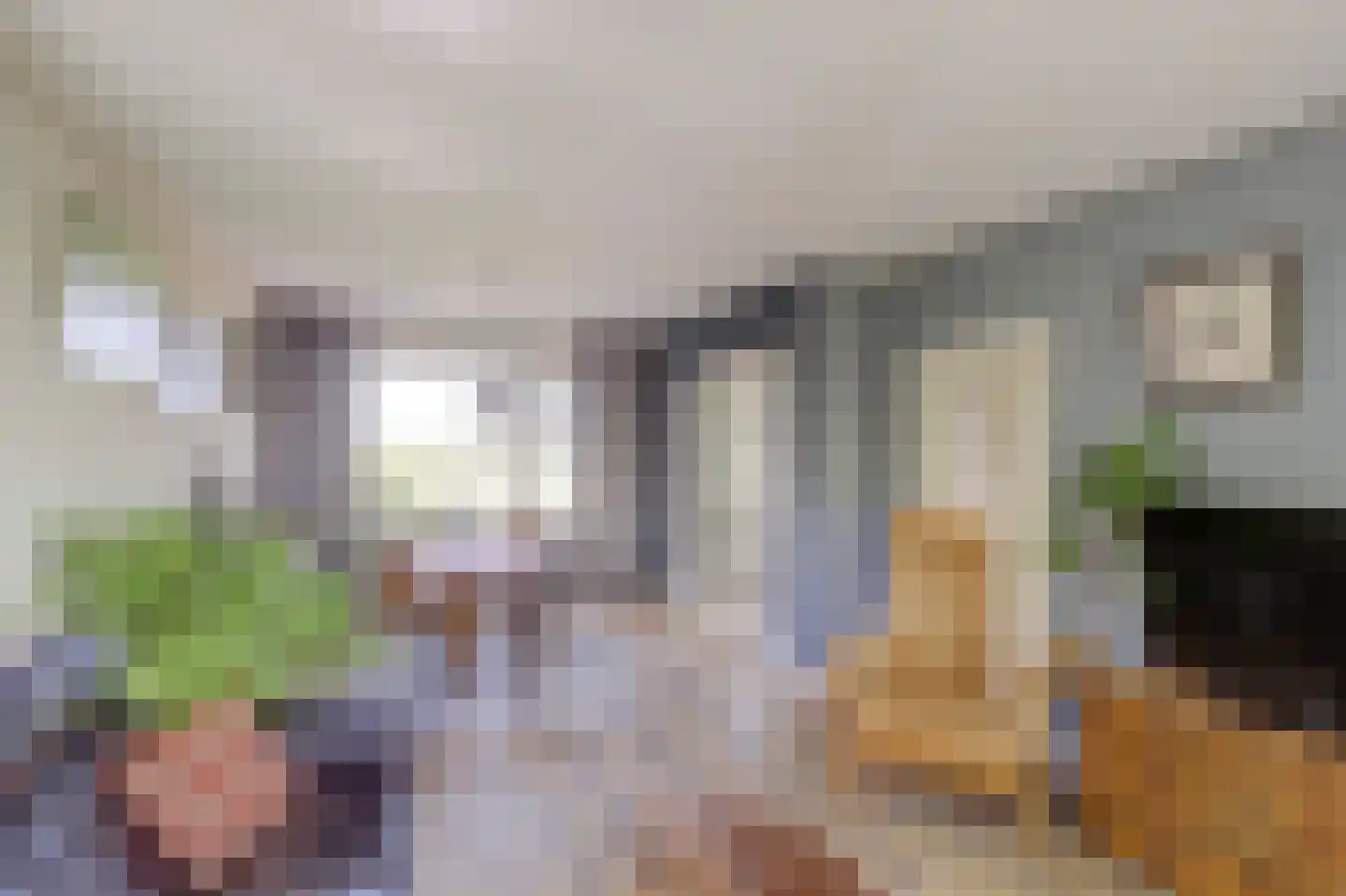 Hoogeind 56 a Driebruggen thumbnail 10