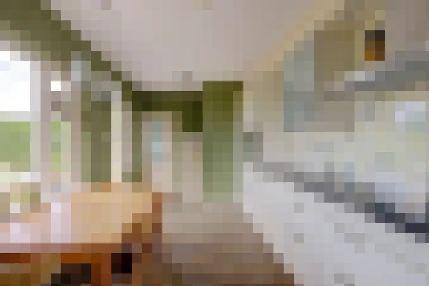 Hoogeind 56 a Driebruggen thumbnail 13