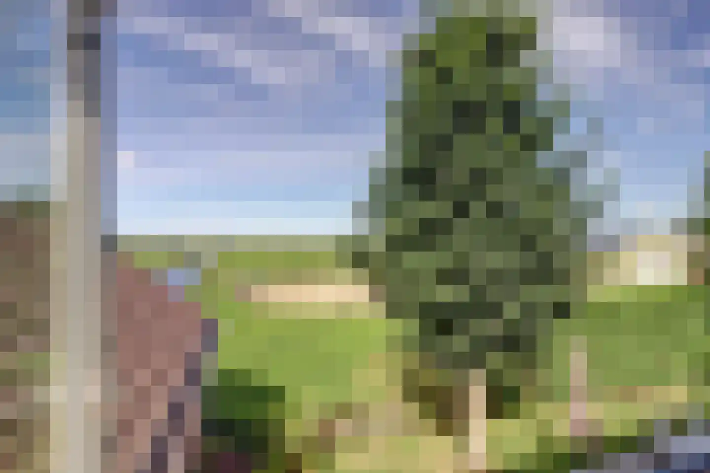 Hoogeind 56 a Driebruggen thumbnail 25