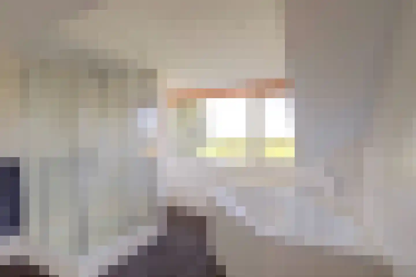 Hoogeind 56 a Driebruggen thumbnail 31