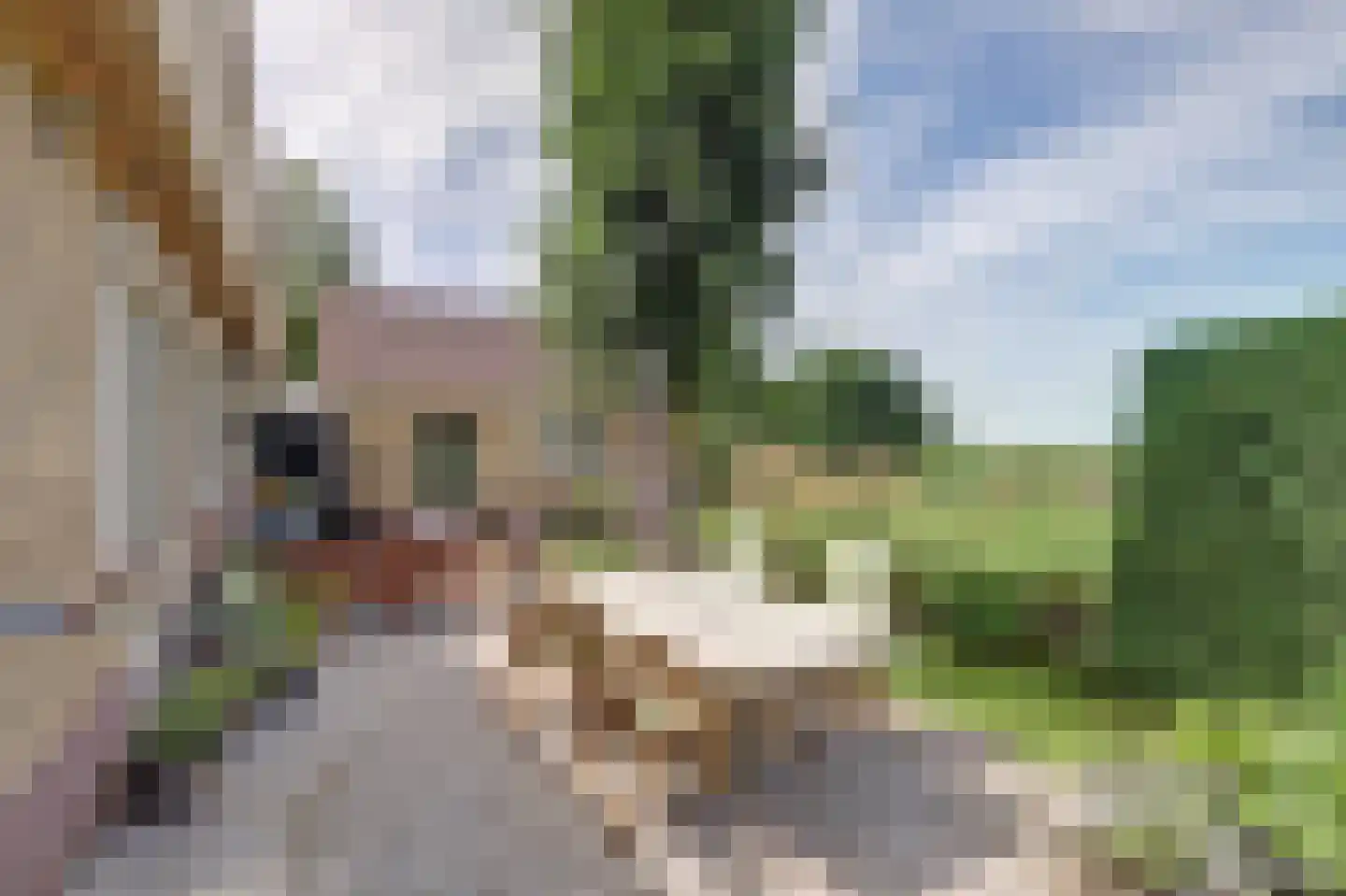 Hoogeind 56 a Driebruggen thumbnail 37