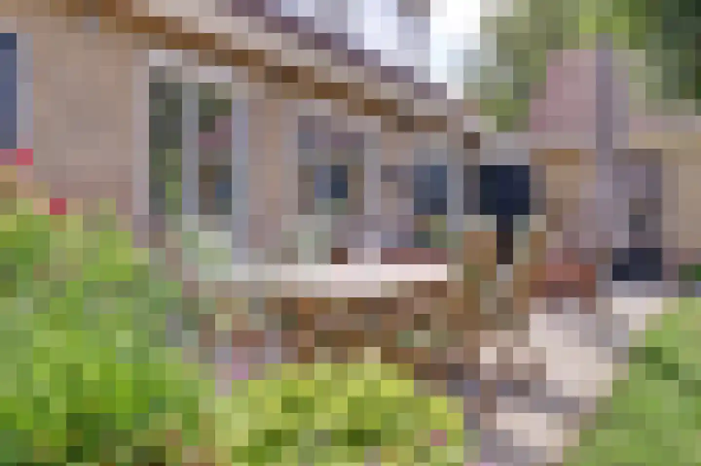 Hoogeind 56 a Driebruggen thumbnail 38