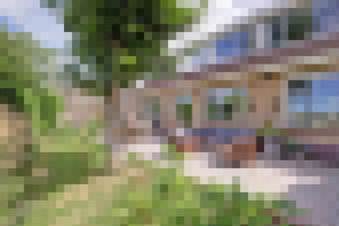 Hoogeind 56 a Driebruggen thumbnail 39