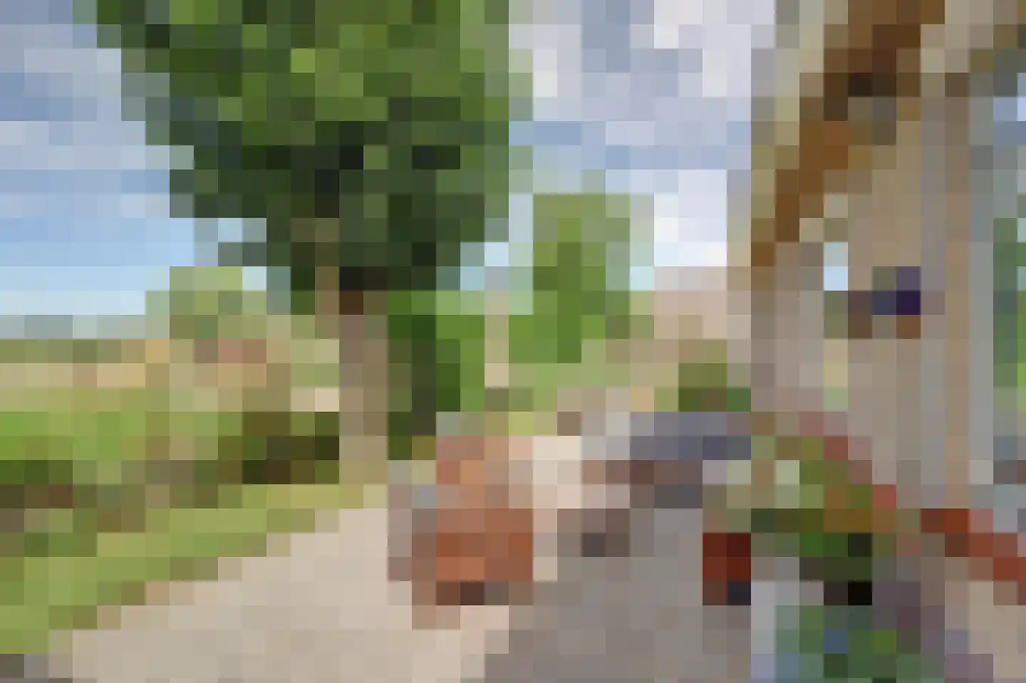 Hoogeind 56 a Driebruggen thumbnail 40