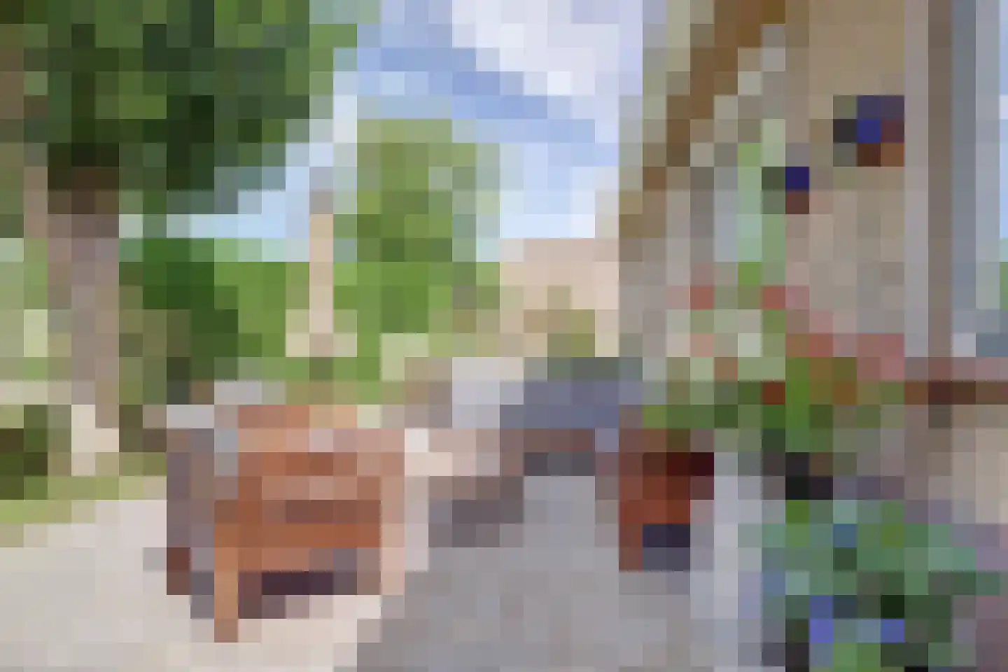 Hoogeind 56 a Driebruggen thumbnail 41