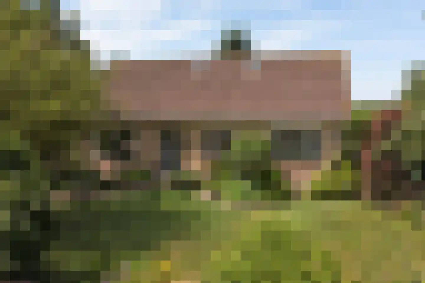 Hoogeind 56 a Driebruggen thumbnail 47