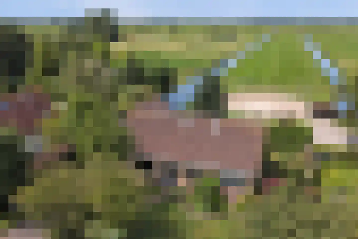Hoogeind 56 a Driebruggen thumbnail 48