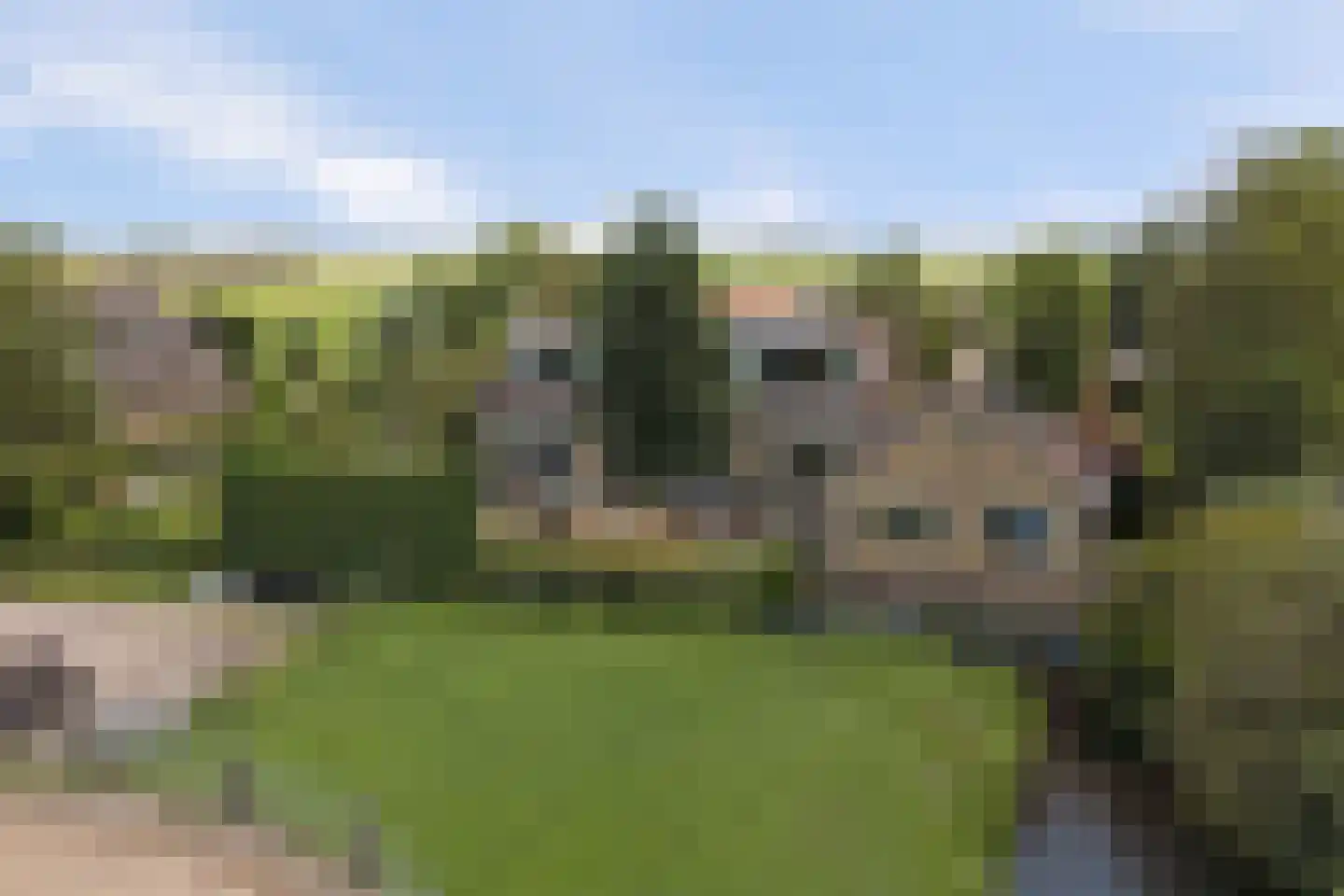 Hoogeind 56 a Driebruggen thumbnail 49