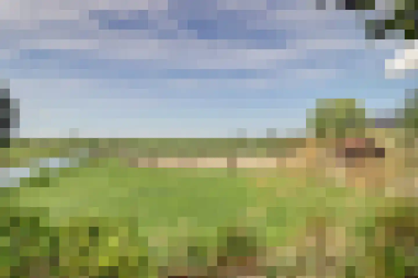 Hoogeind 56 a Driebruggen thumbnail 5
