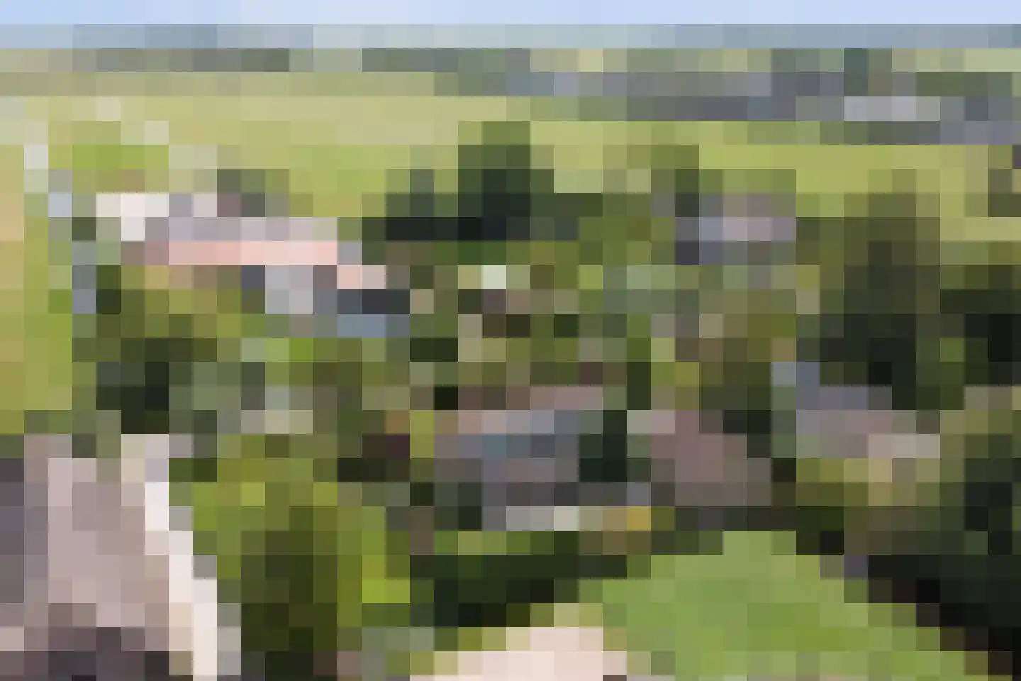 Hoogeind 56 a Driebruggen thumbnail 51
