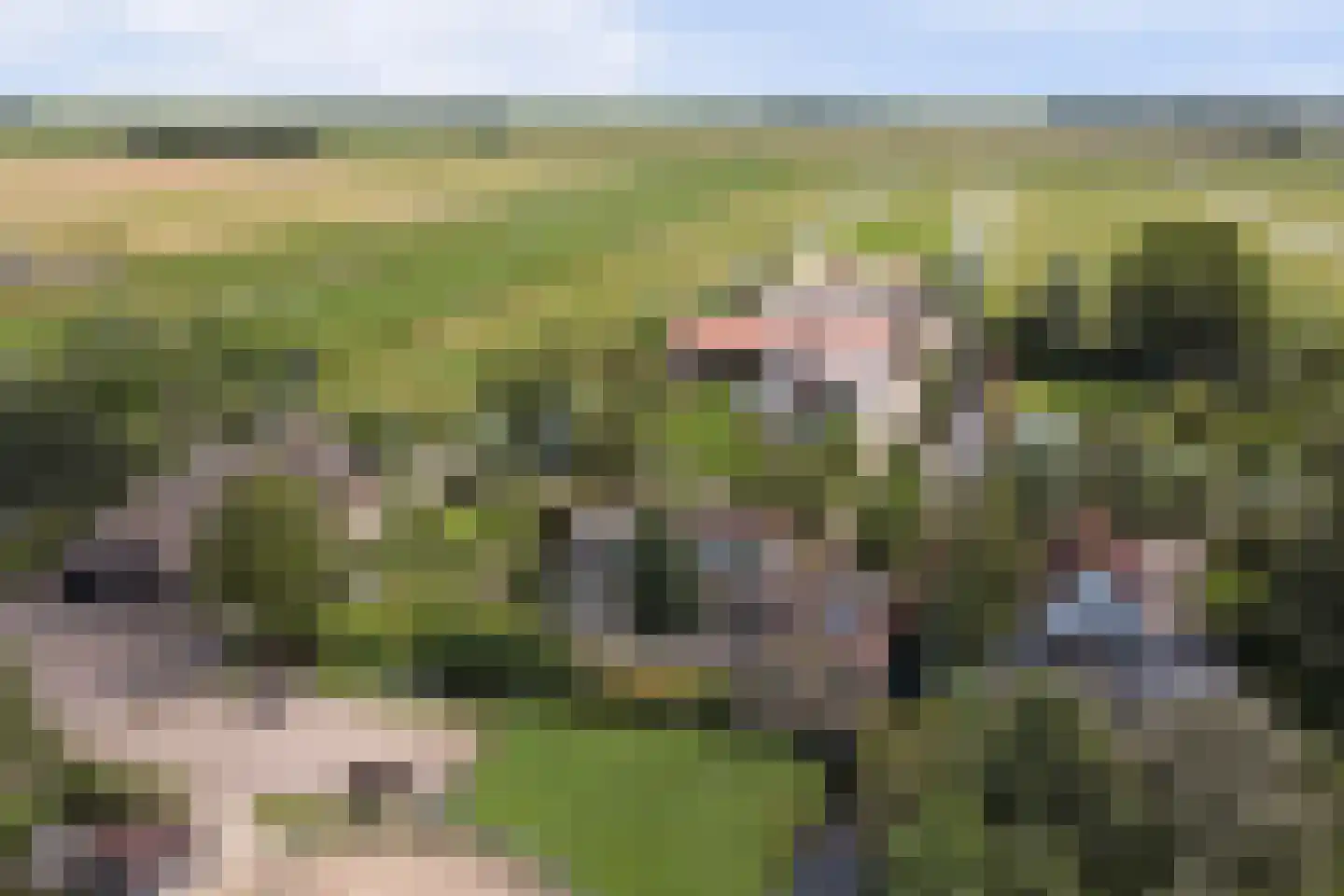 Hoogeind 56 a Driebruggen thumbnail 52
