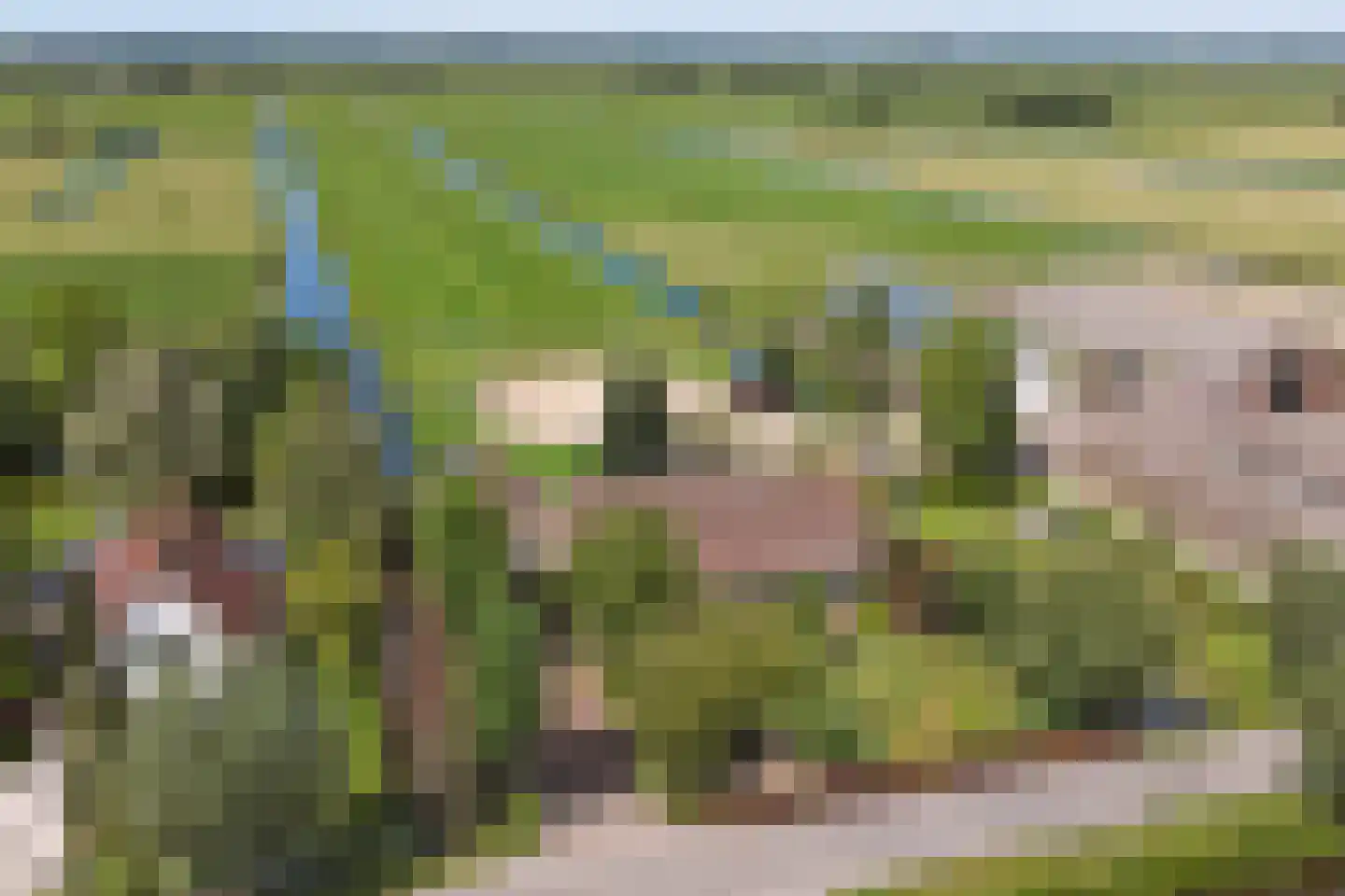 Hoogeind 56 a Driebruggen thumbnail 53
