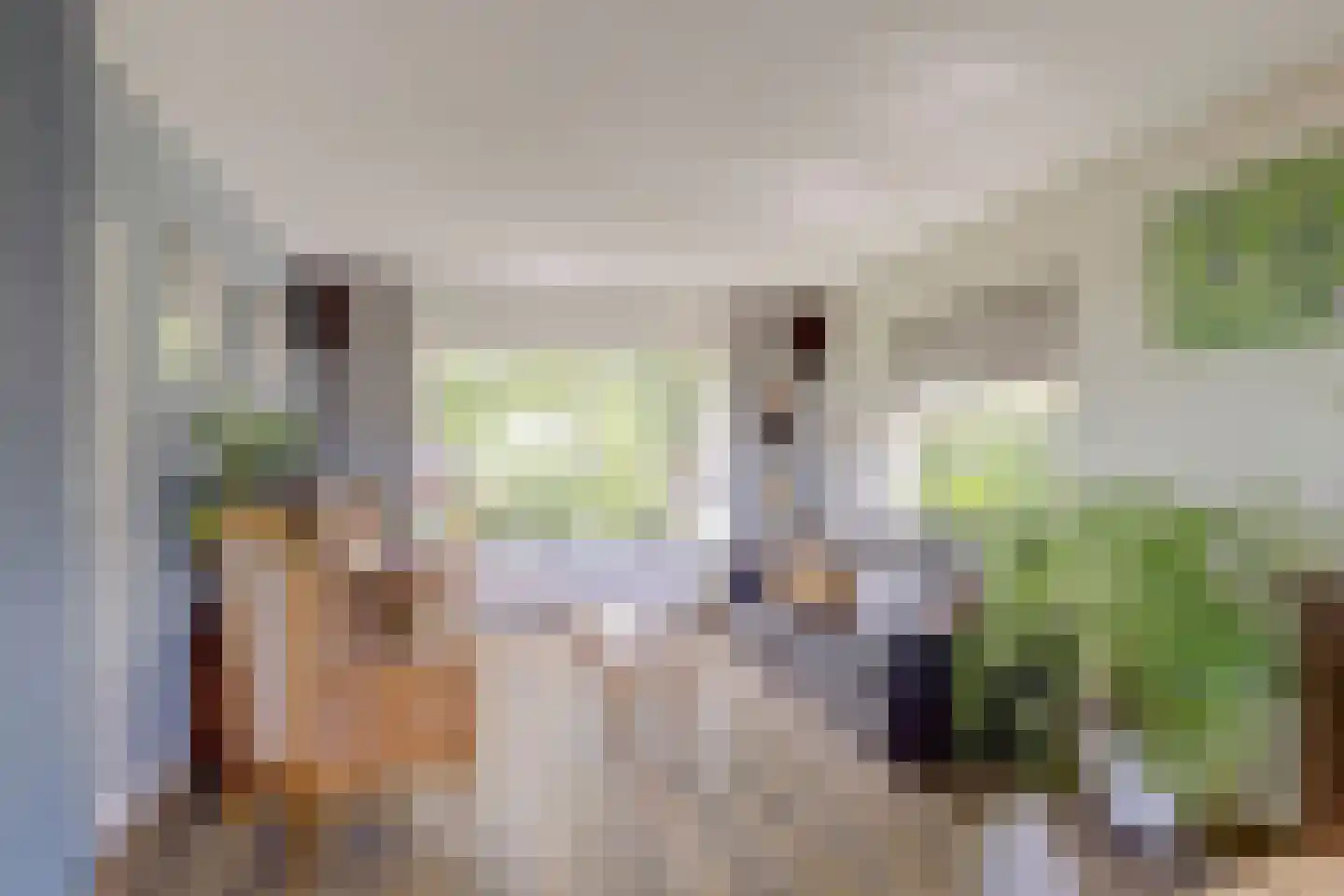 Hoogeind 56 a Driebruggen thumbnail 8