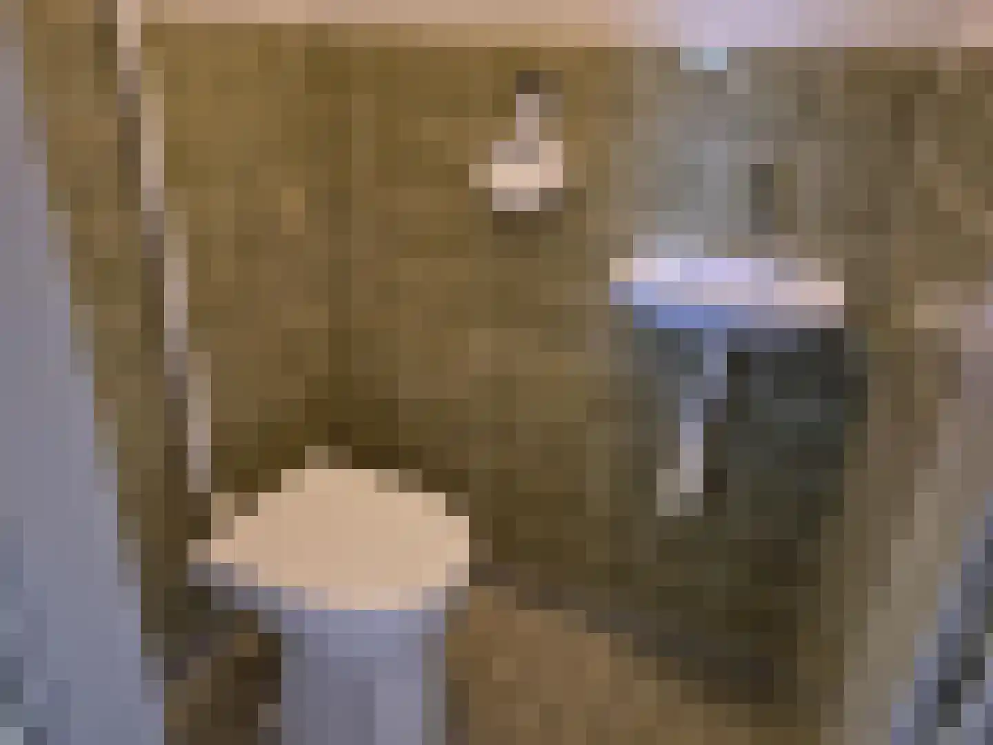 Hoogeind 63 Luyksgestel thumbnail 5