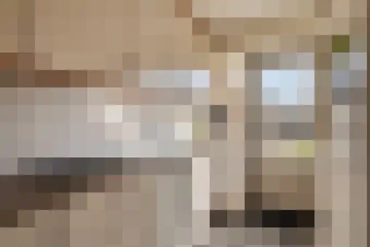 Hoogeind 65 Luyksgestel thumbnail 10