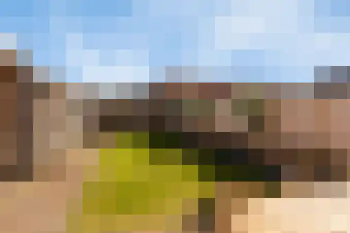 Hoogeind 65 Luyksgestel thumbnail 24