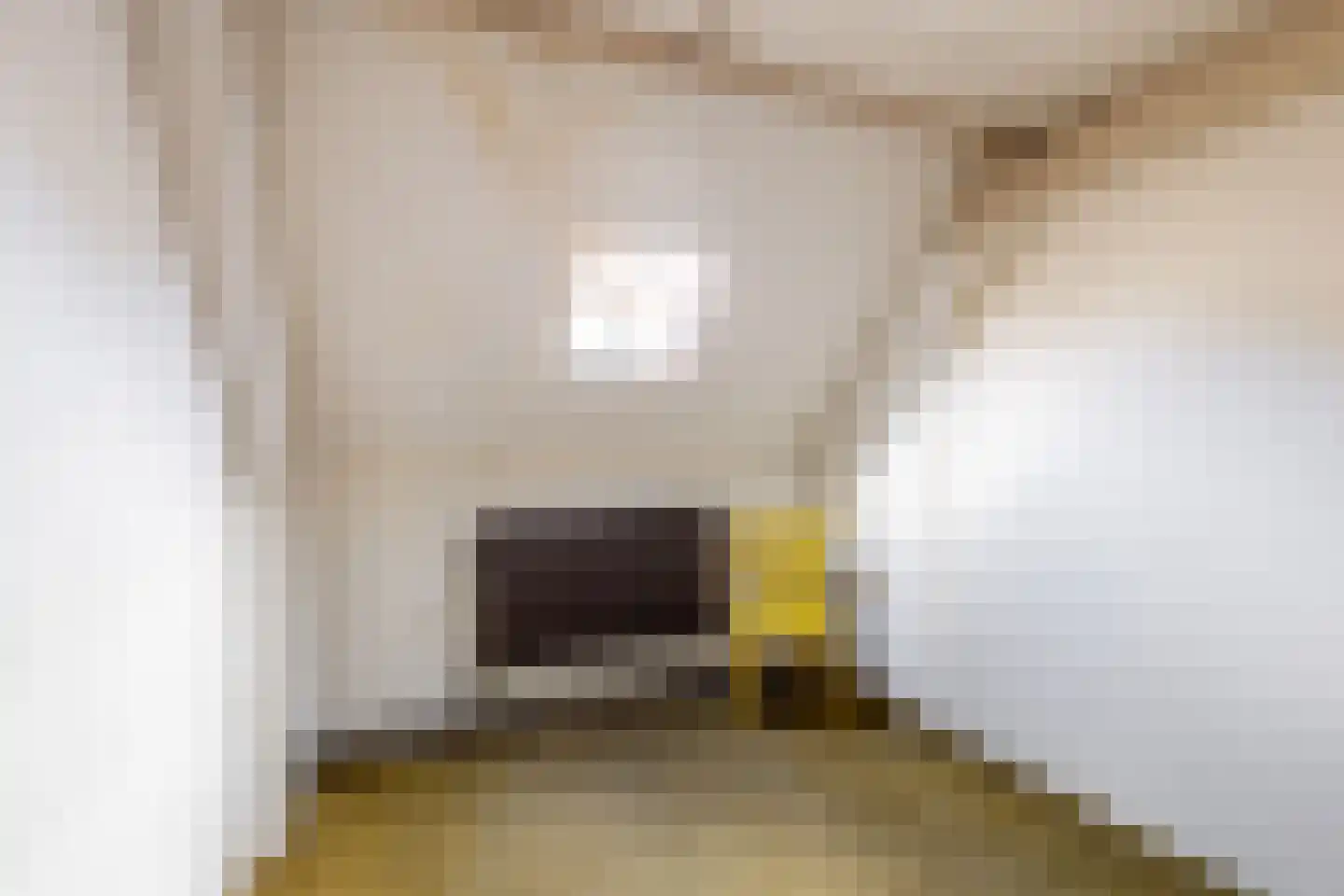 Hoogeinde 12 Waalwijk thumbnail 23