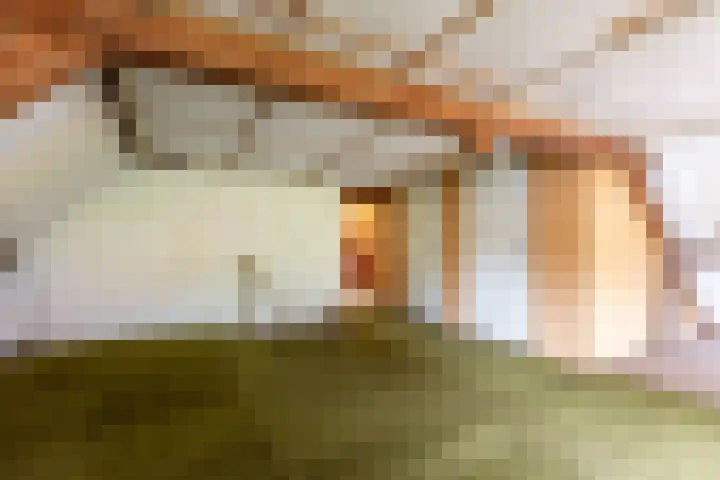 Hoogeinde 12 Waalwijk thumbnail 26