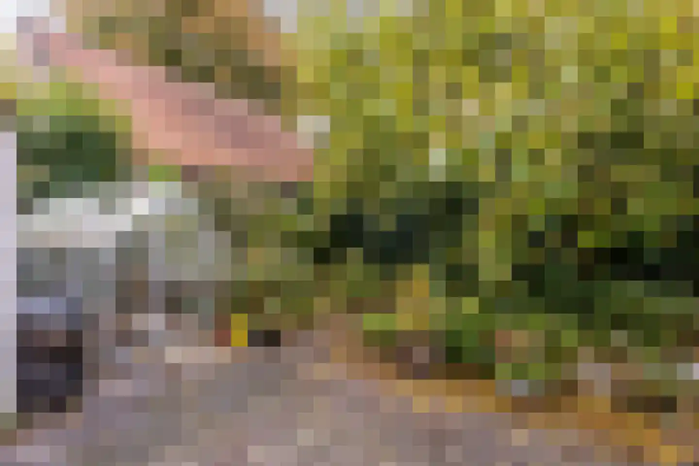 Hoogeinde 12 Waalwijk thumbnail 32