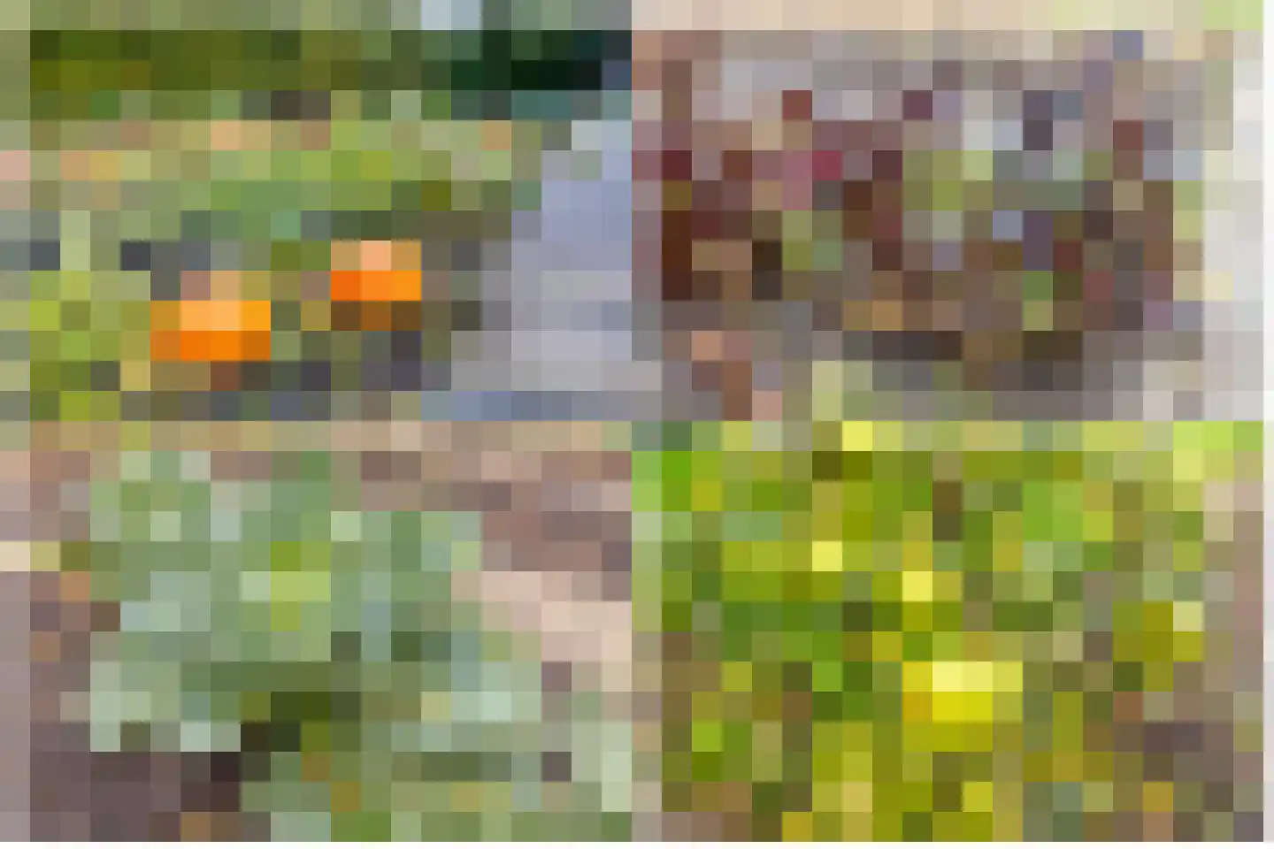 Hoogeinde 12 Waalwijk thumbnail 33
