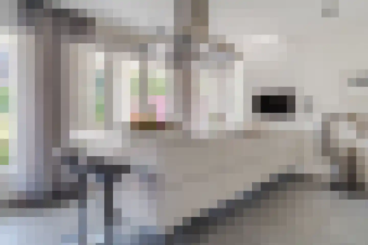 Hoogeinde 18 Waalwijk thumbnail 14
