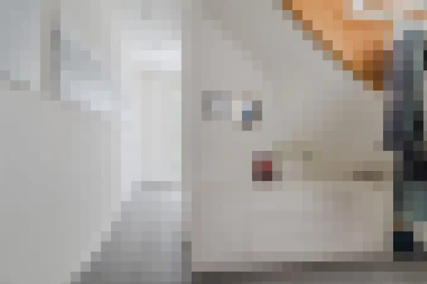 Hoogeinde 18 Waalwijk thumbnail 20
