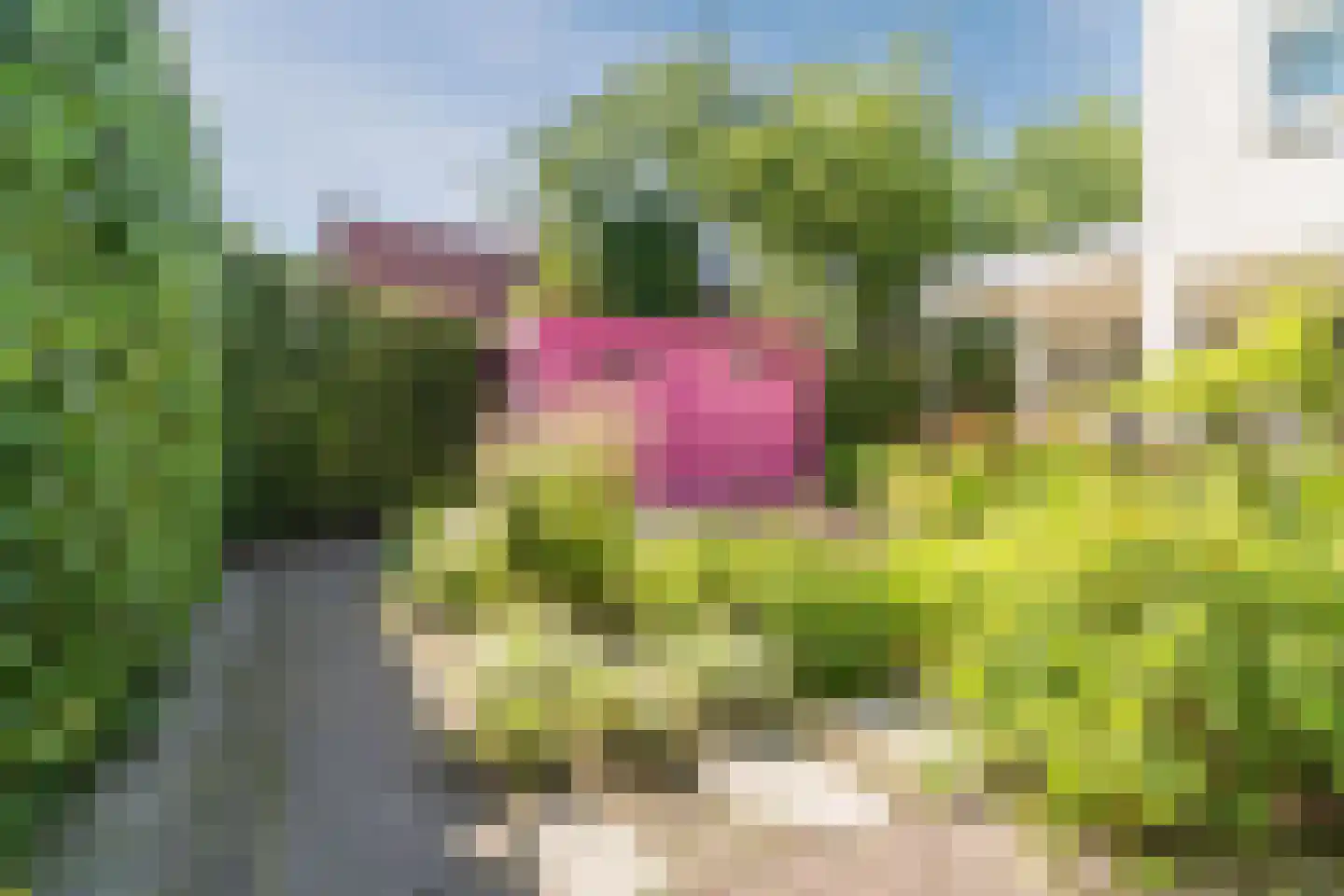 Hoogeinde 18 Waalwijk thumbnail 43