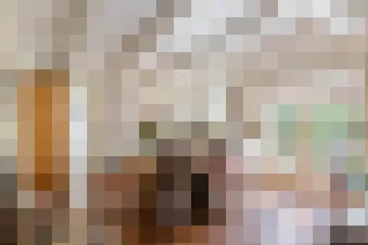 Hoogeinde 3 Zoelmond thumbnail 14