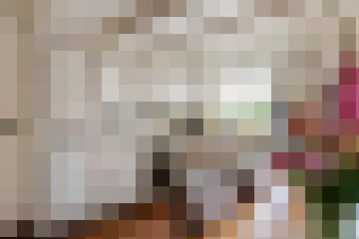 Hoogeinde 3 Zoelmond thumbnail 19