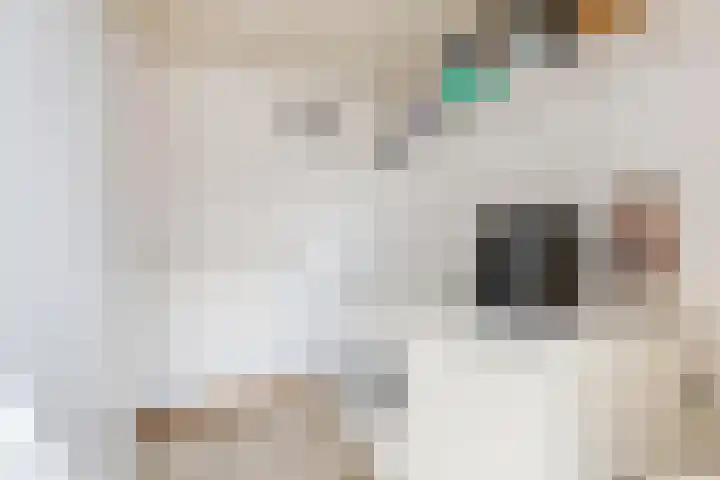 Hoogeinde 3 Zoelmond thumbnail 23
