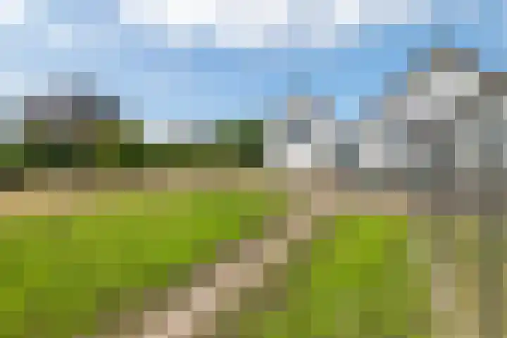 Hoogeinde 3 Zoelmond thumbnail 27