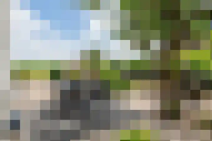 Hoogeinde 3 Zoelmond thumbnail 29
