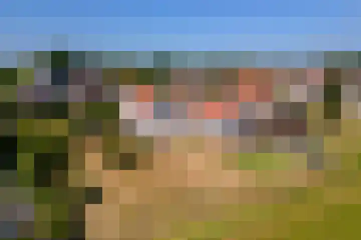 Hoogeinde 3 Zoelmond foto 3