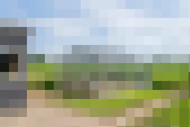Hoogeinde 3 Zoelmond thumbnail 30