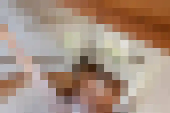 Hoogeinde 3 Zoelmond thumbnail 36