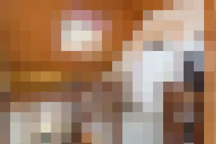 Hoogeinde 3 Zoelmond thumbnail 39