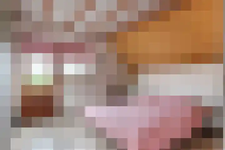 Hoogeinde 3 Zoelmond thumbnail 44