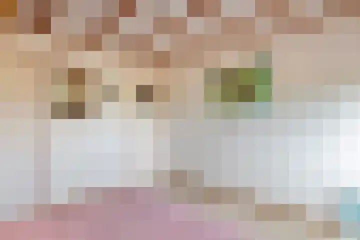 Hoogeinde 3 Zoelmond thumbnail 45