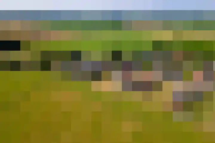 Hoogeinde 3 Zoelmond thumbnail 56