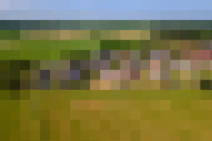 Hoogeinde 3 Zoelmond thumbnail 57