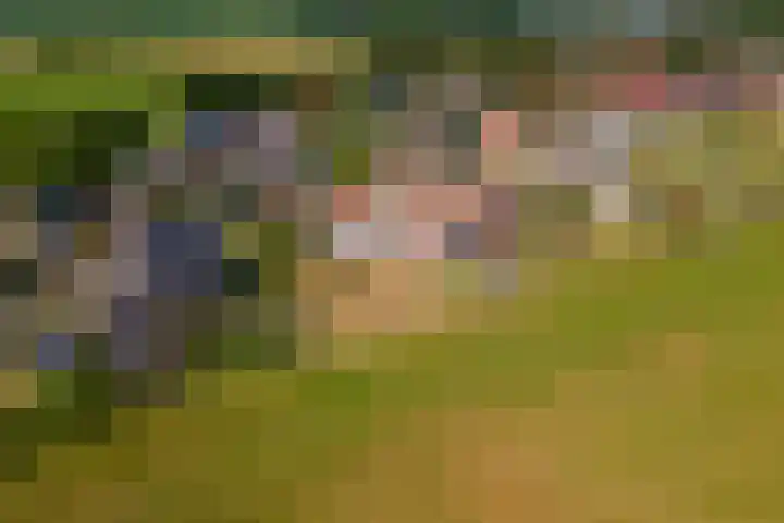 Hoogeinde 3 Zoelmond thumbnail 58