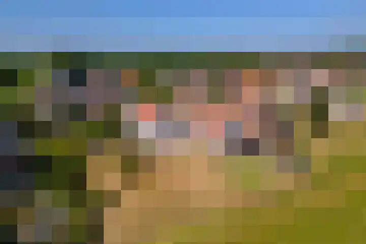 Hoogeinde 3 Zoelmond thumbnail 59