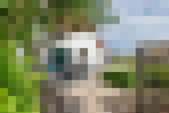 Hoogeinde 3 Zoelmond thumbnail 6